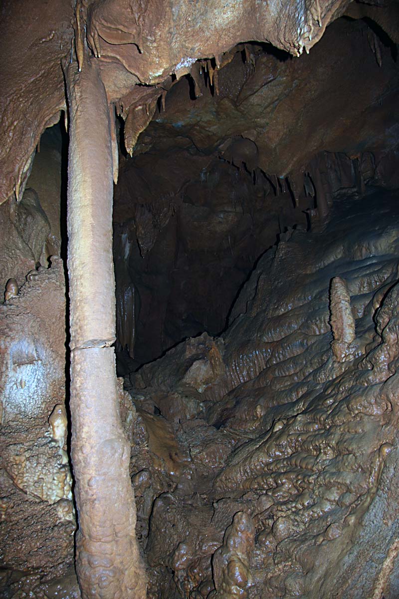 M 01.JPG